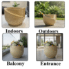 big ceramic pots for indoor plants