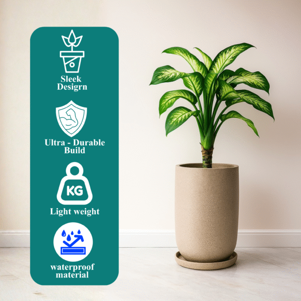 large planters online india