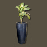 premium plant pots for hotel industry